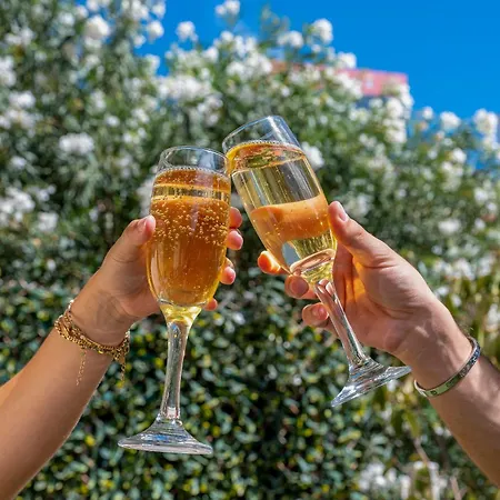 Hotel Excelsior Centre By Happyculture Nice